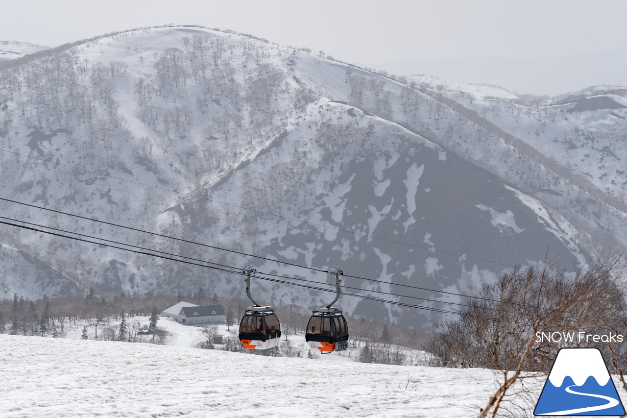 キロロリゾート｜初夏の陽気に耐えて、何とかGWまで持ってくれたキロロの雪…。さぁ、キロロゴンドラに乗って、山頂から山麓まで続く全長4,000ｍ超のロングランを楽しみましょう！